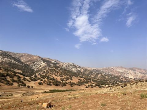 シラーズの標高2500メートル　カシュガイ族遊牧民が暮らす景色